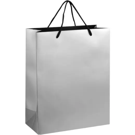 Altitude Dazzle Midi Paper Gift Bag Silver Unbranded